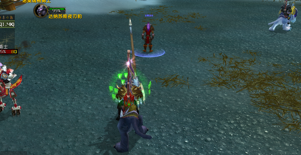 联盟-盗贼-至尊盗圣 在银色比武场多次杀其他角色的比武任务怪，导致任务无法完成