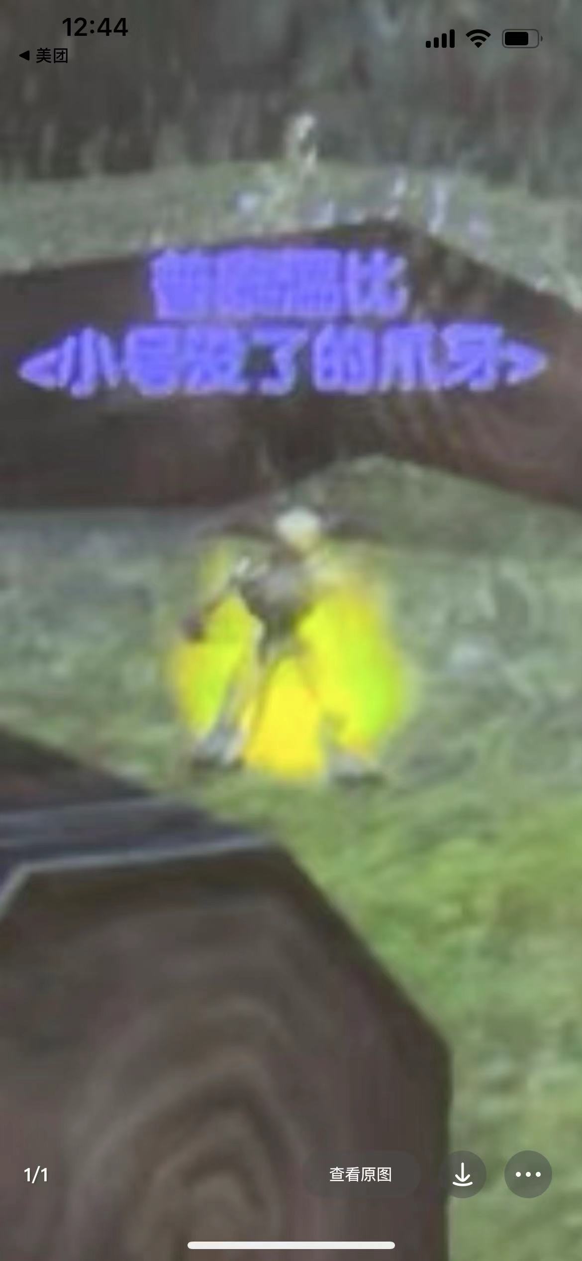 小号没了的爪牙